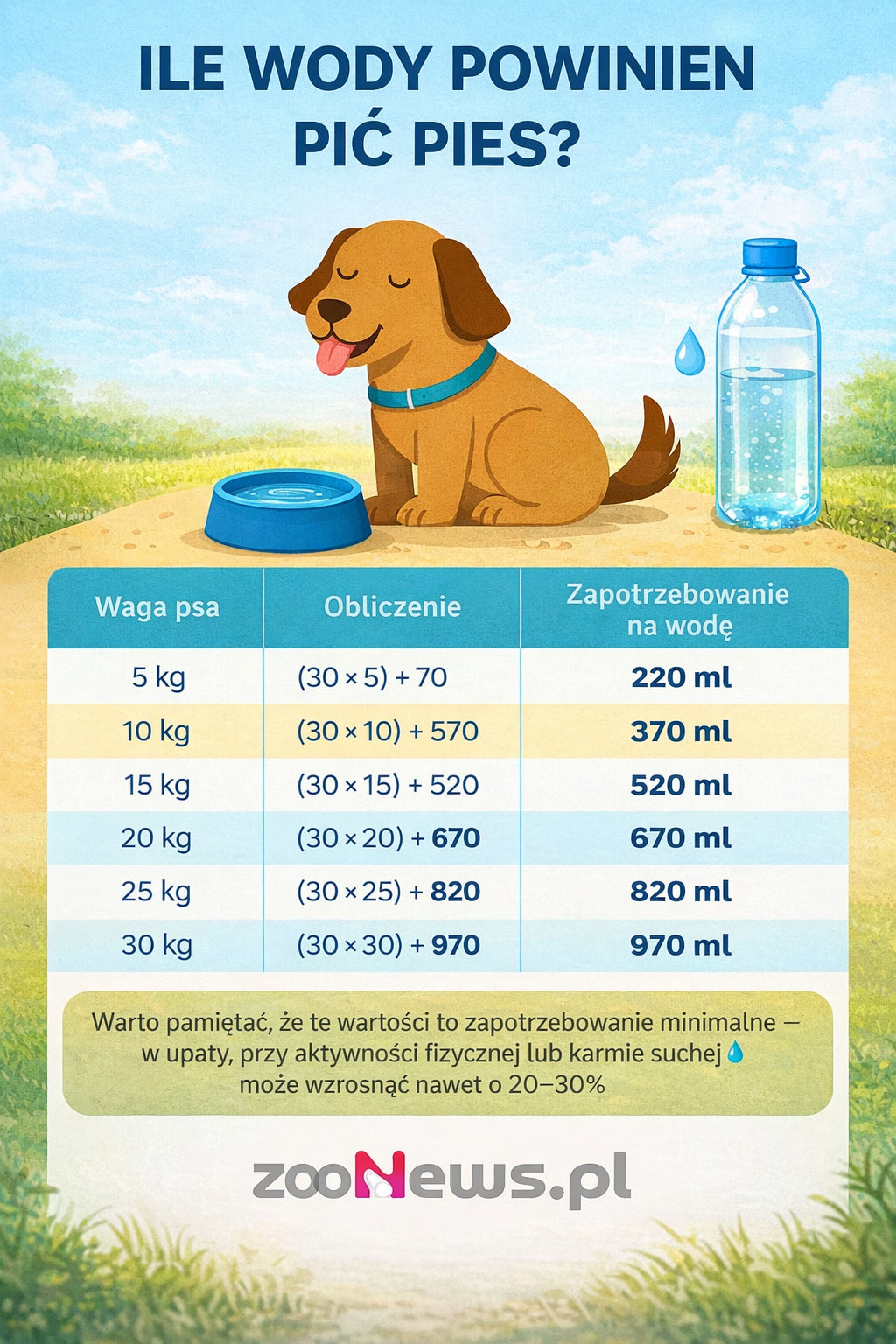 Ile wody powinien pić pies infografika