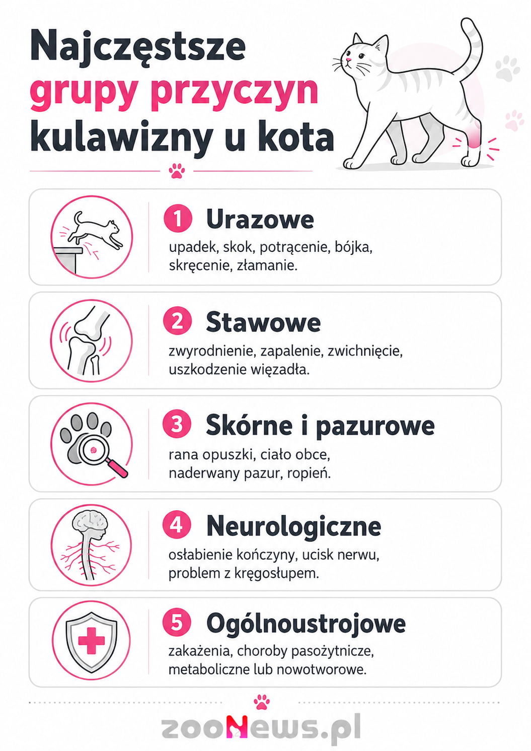 Przyczyny kulawizny u kota infografika