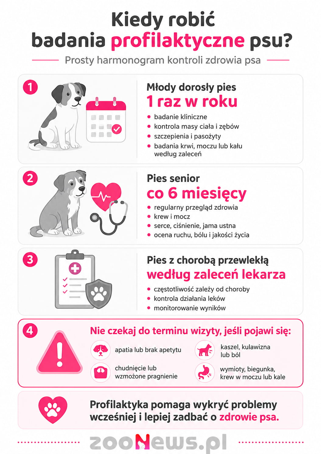 Badania profilaktyczne dla psa infografika