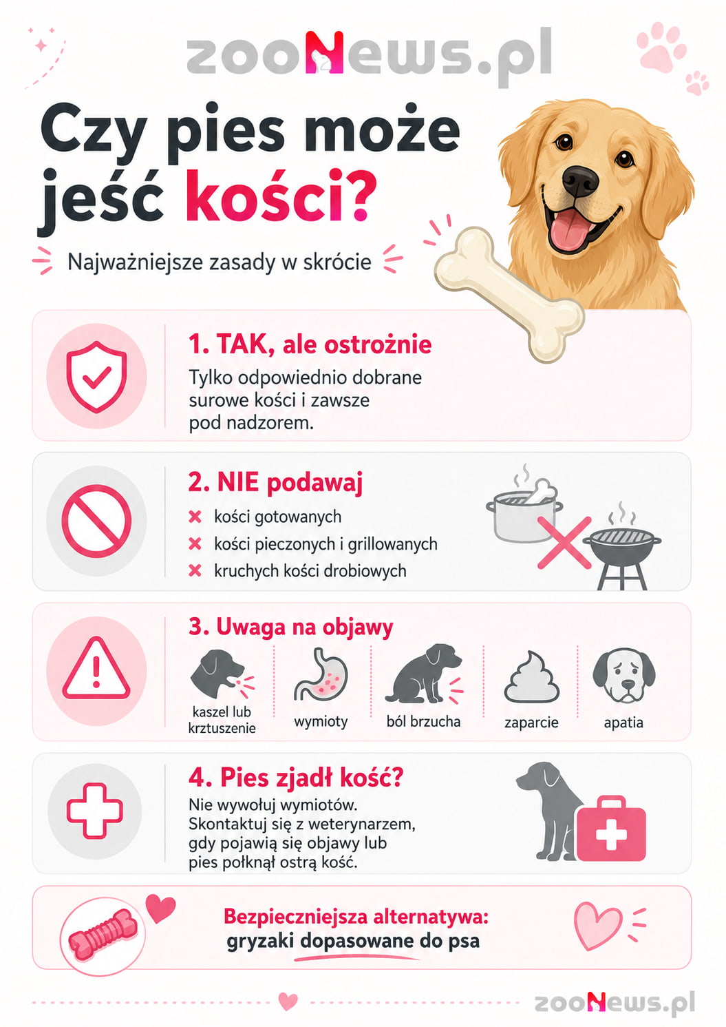 Czy pies może jeść kości infografika