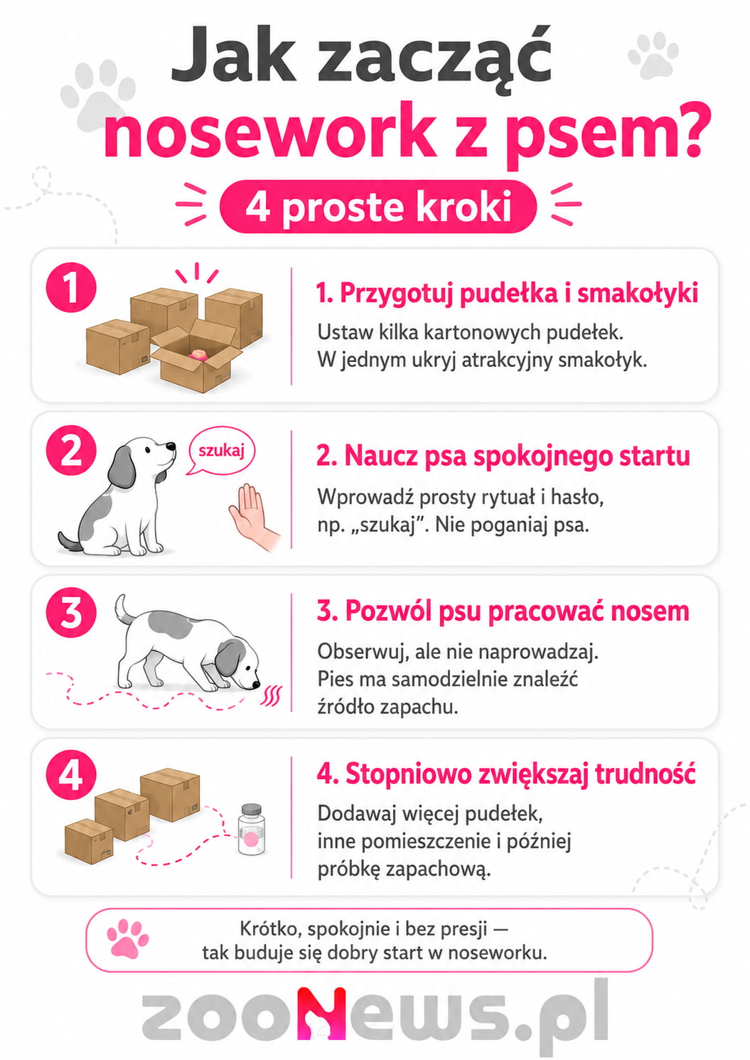 Nosework z psem infografika