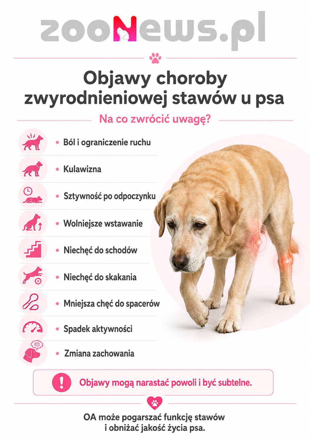 Objawy choroby zwyrodnieniowej stawów infografika