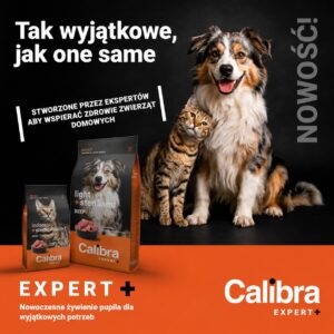 Calibra EXPERT+
