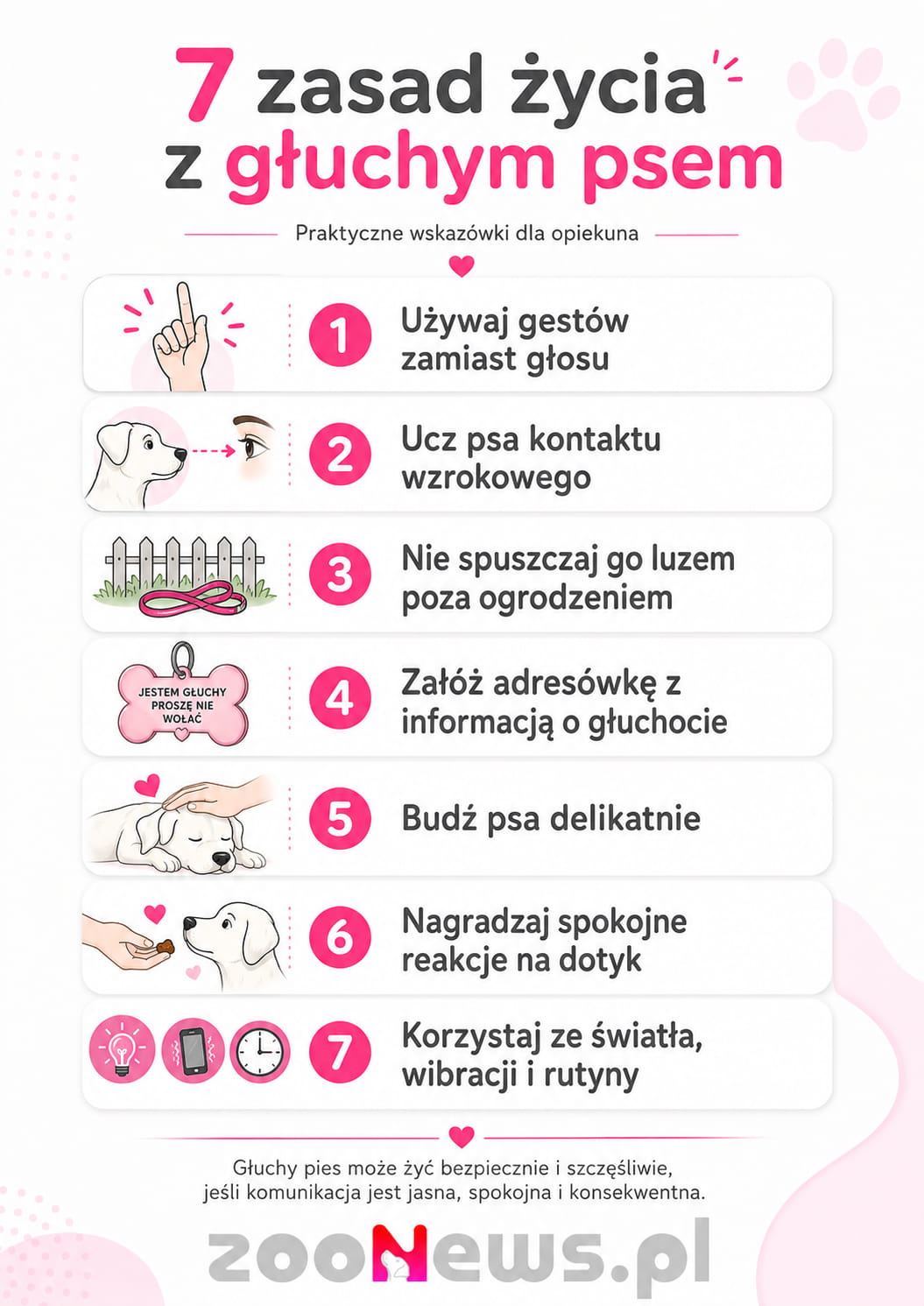 Głuchy pies infografika