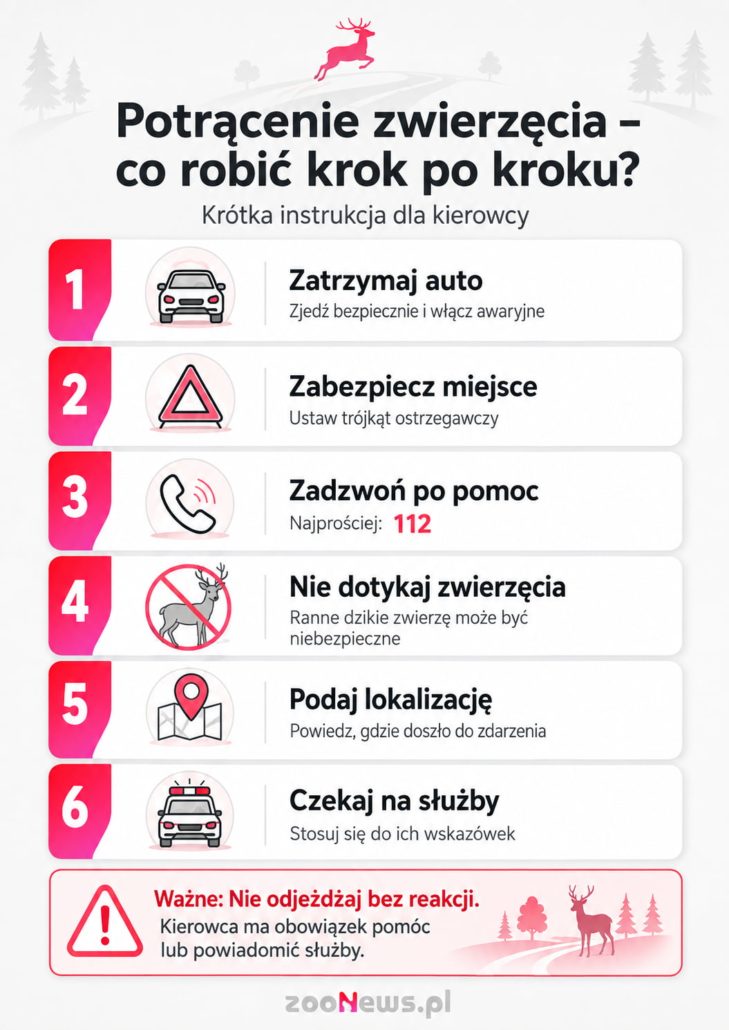 Potrącenie zwierzęcia infografika