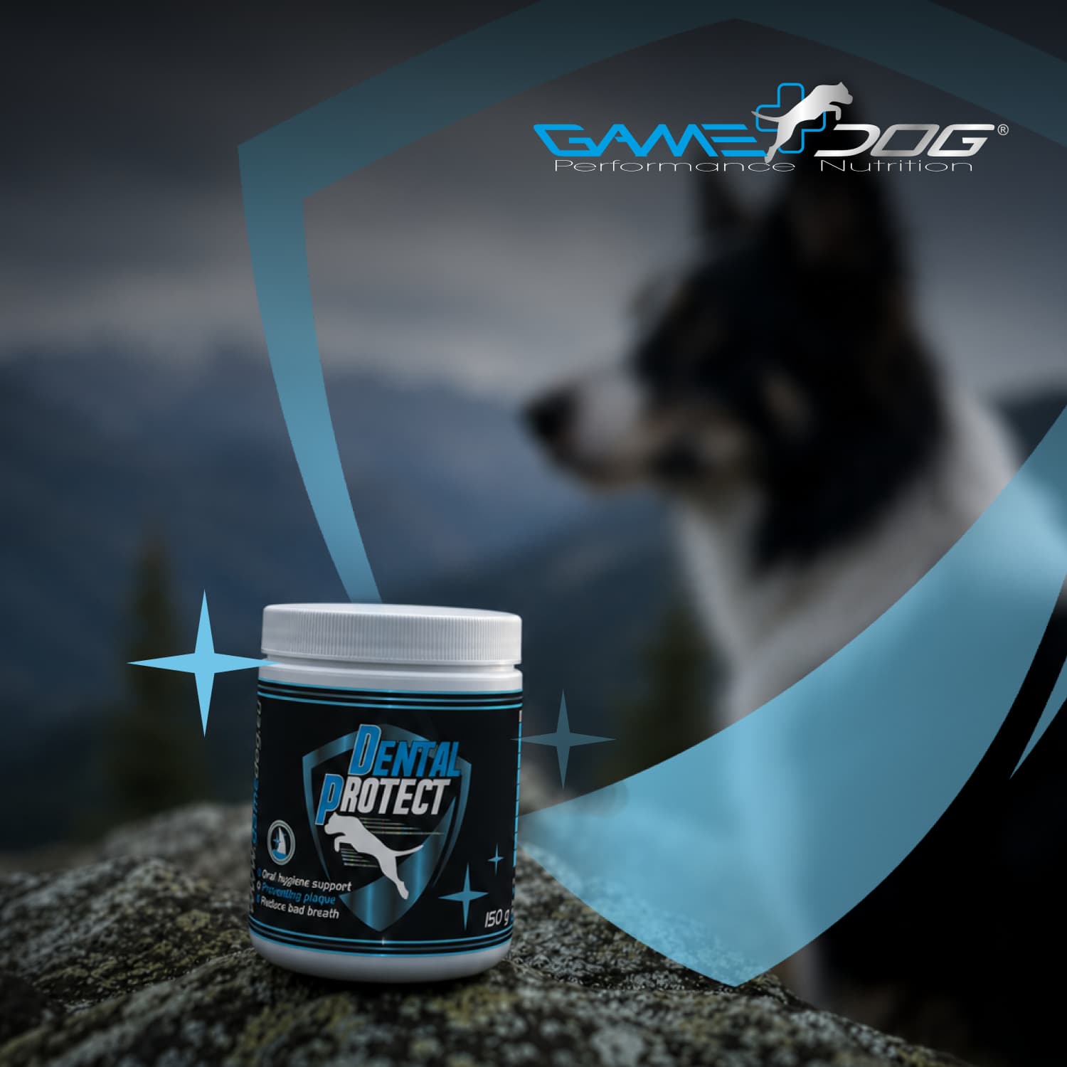 Zadbaj o zęby swojego psa bez szczotkowania: Dental Protect marki Game Dog