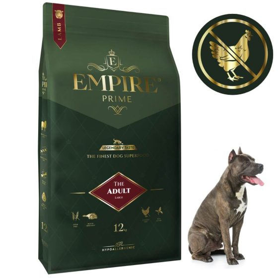 Adult-amstaff-12kg